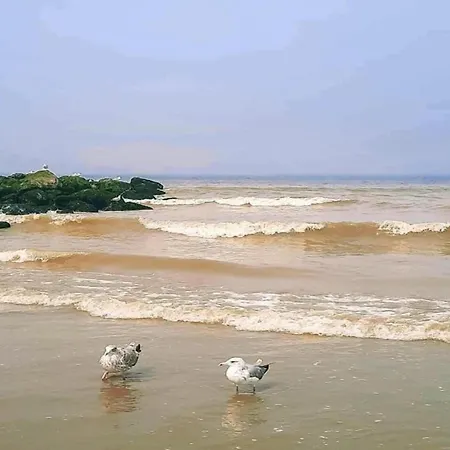 Oceanfront Haven Apartmán Nieuwpoort