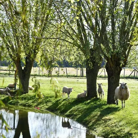 Oceanfront Haven 아파트 *