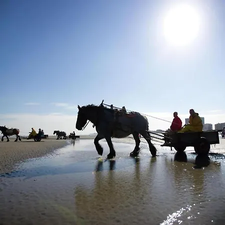 Oceanfront Haven 니우포르트