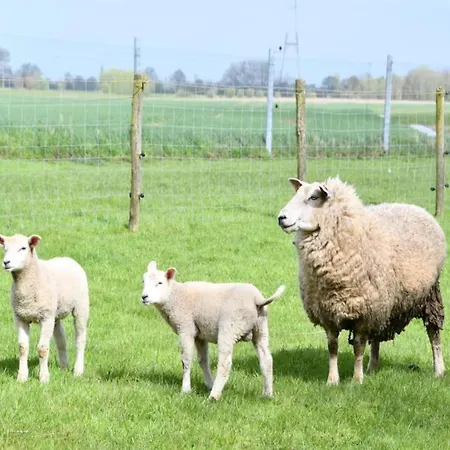 Apartmán Oceanfront Haven