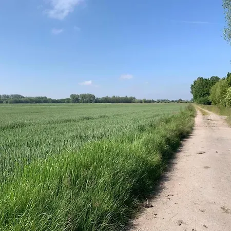 아파트 Oceanfront Haven