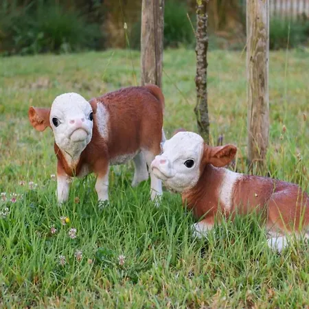 아파트 Oceanfront Haven