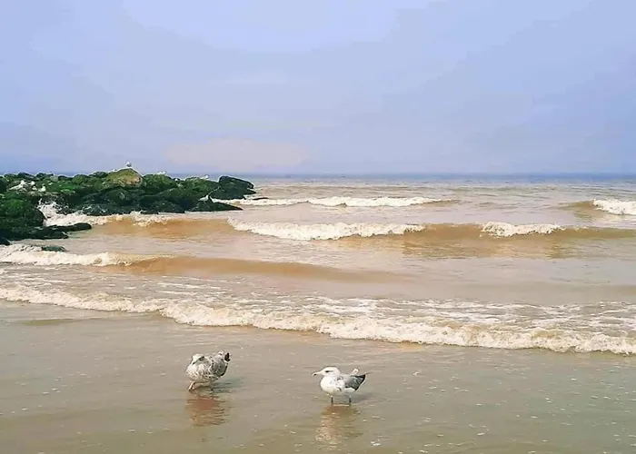 Oceanfront Haven Apartment Nieuwpoort