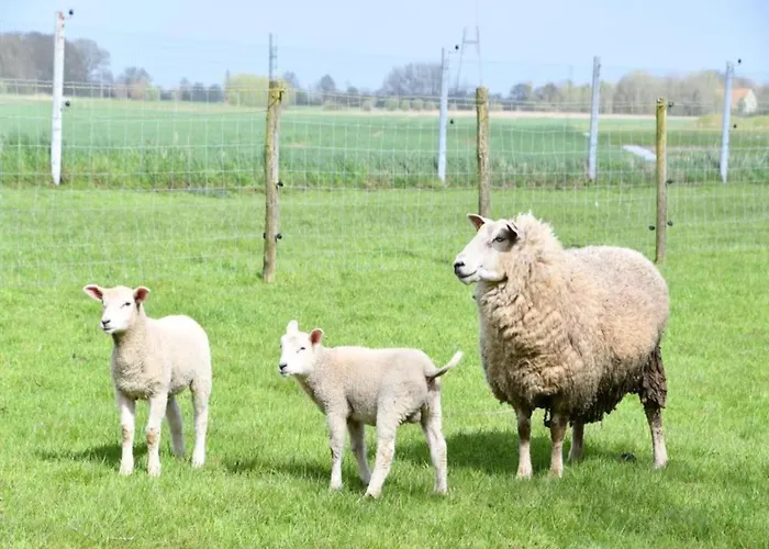 Apartment Oceanfront Haven