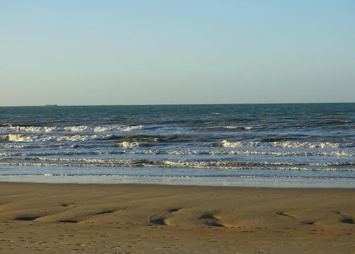 Apartment Oceanfront Haven Nieuwpoort