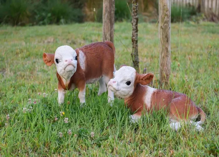 Apartment Oceanfront Haven